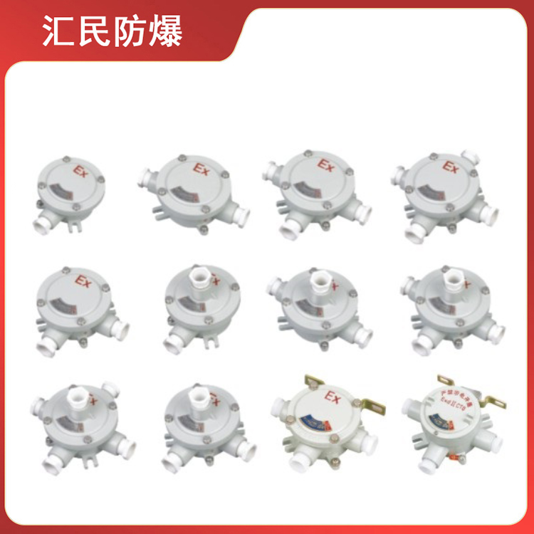 AH系列防爆接線盒（ⅡB、ⅡC、e）